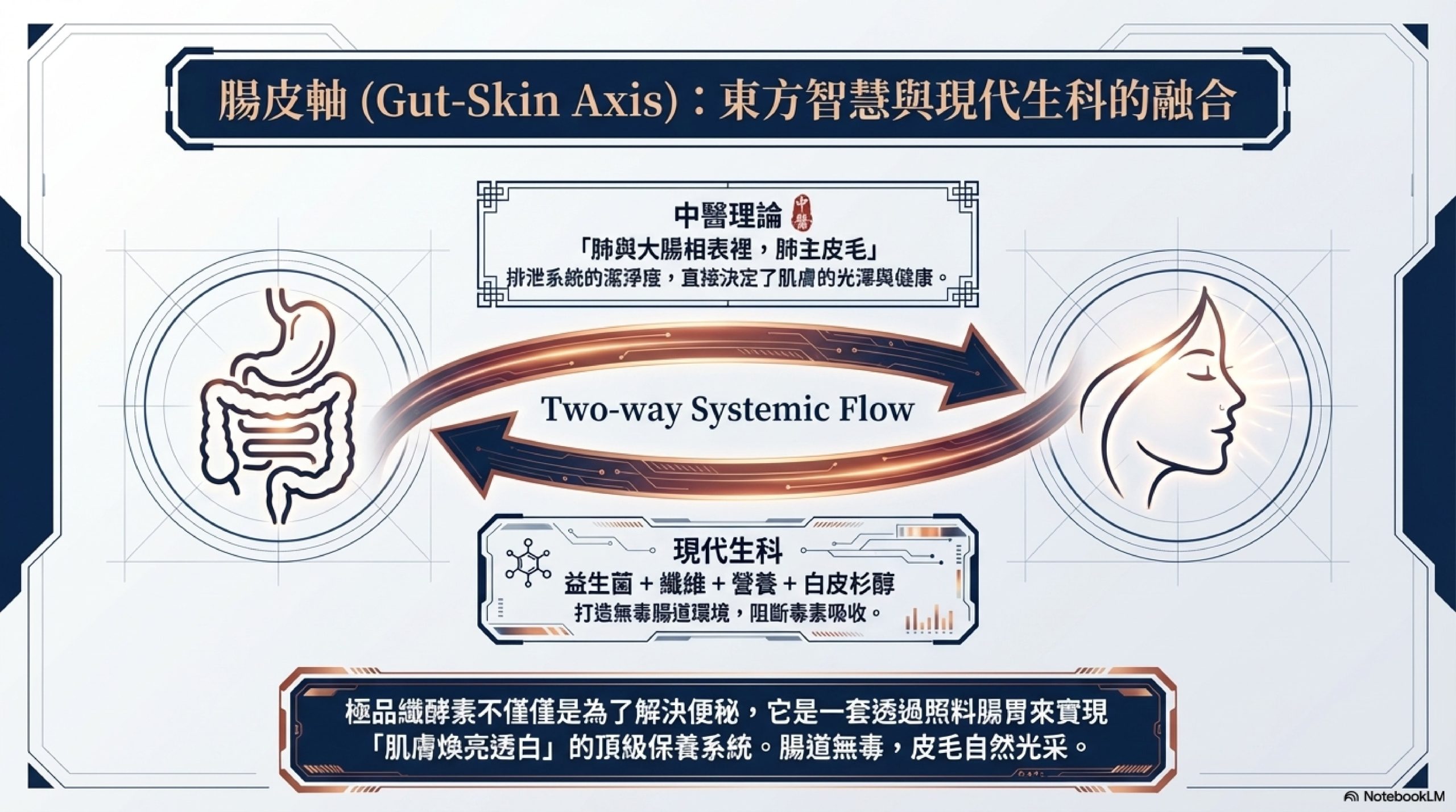 腸皮軸連動理論